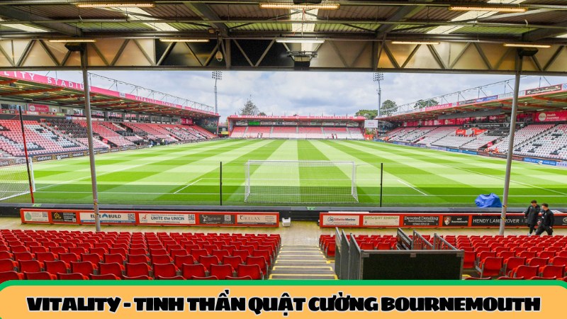 Vitality-Tinh-Than-Quat-Cuong-Bournemouth vitality-tinh-than-quat-cuong-bournemouth