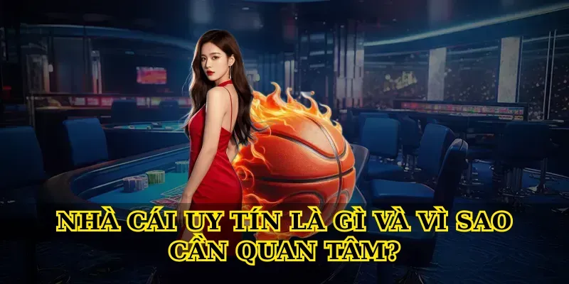 Nha-Cai-Uy-Tin-La-Gi-Va-Vi-Sao-Can-Quan-Tam nha-cai-uy-tin-la-gi-va-vi-sao-can-quan-tam